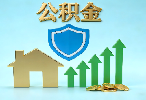 松原当前住房公积金提取条件分类指南与政策趋势